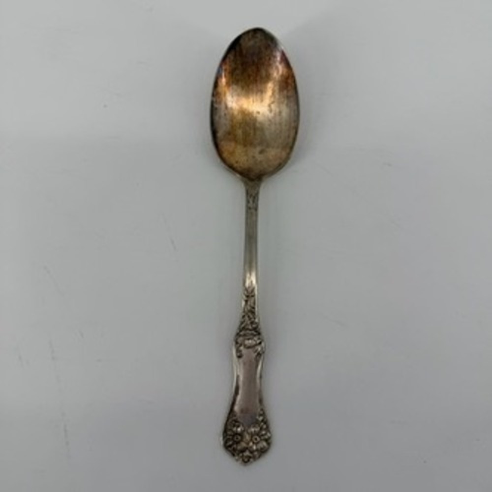 Wm Rogers and Son Silver Plate Apple Blossom Flower Spoon 8" R.C. Co. Vintage